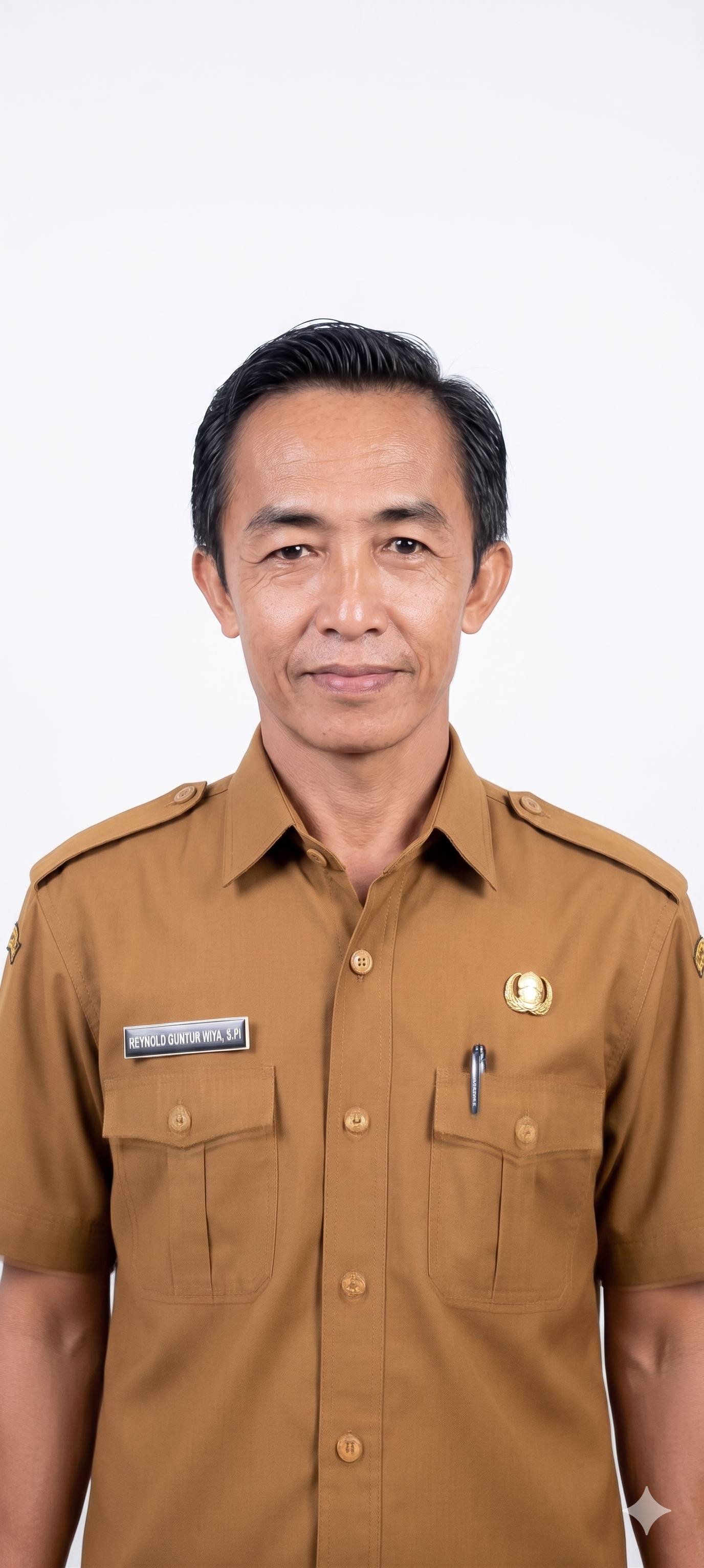 REYNOLD GUNTUR WAYA, S.Pi